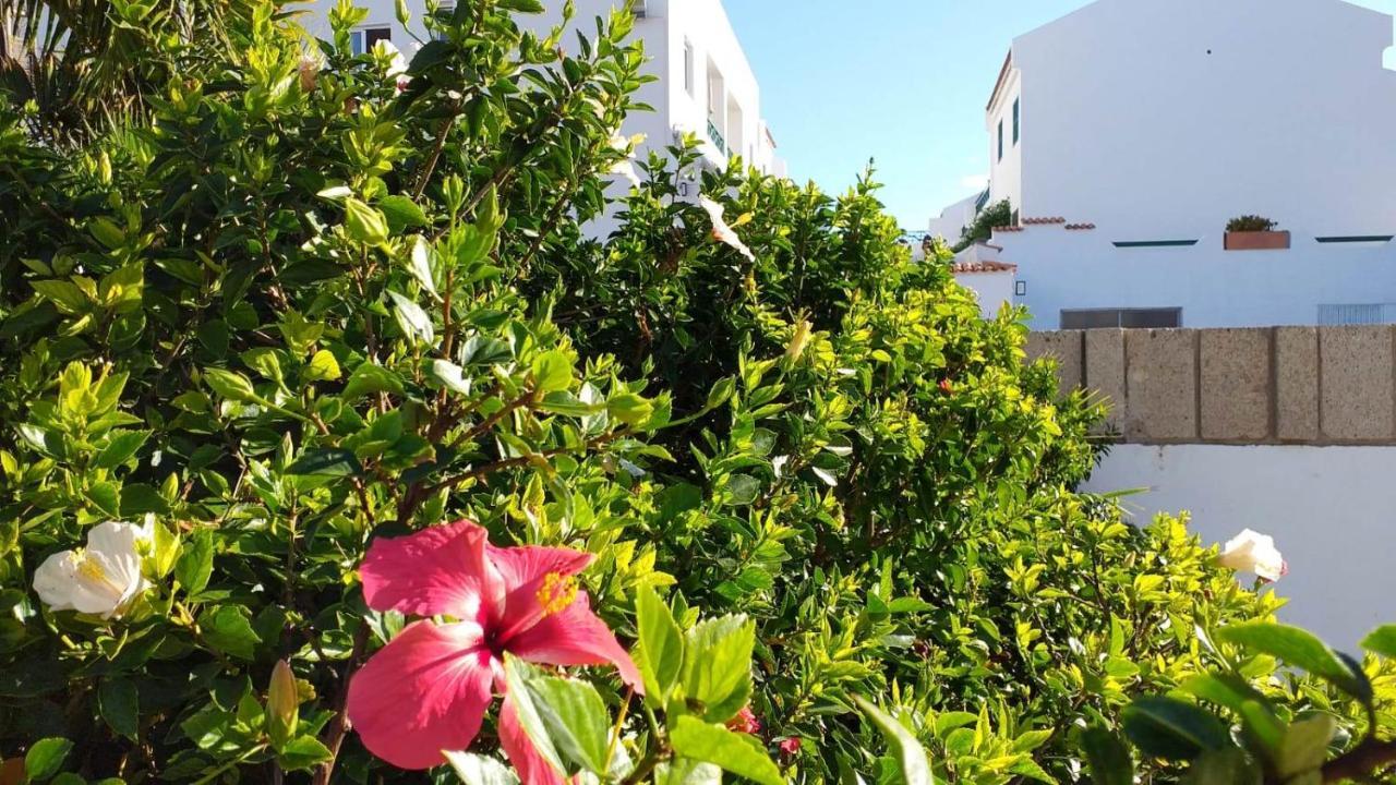 Parque Don Jose, Casa Antonella Costa Del Silencio Zewnętrze zdjęcie
